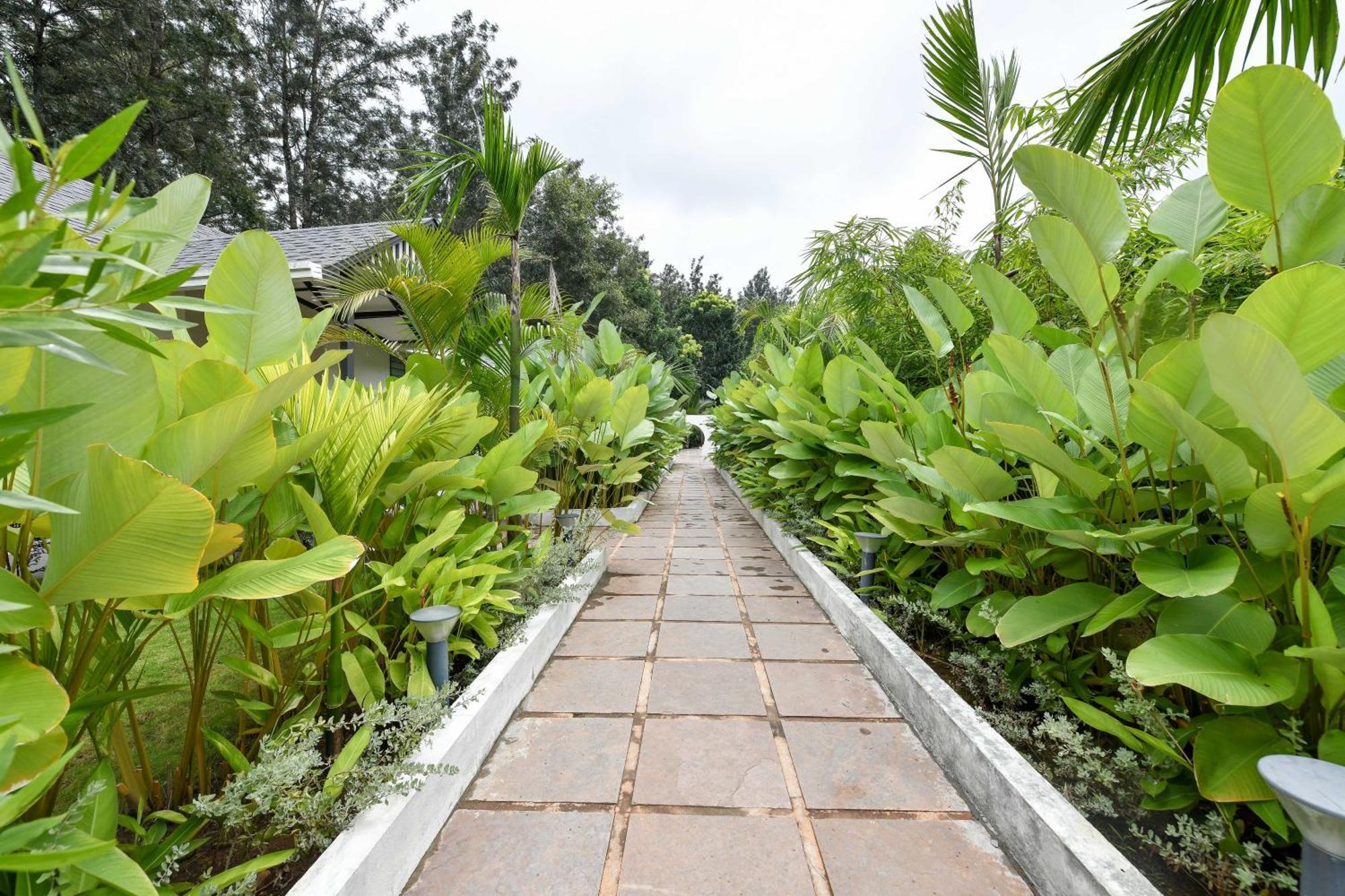 Inventree Aranya Resort & Spa Madikeri Eksteriør bilde